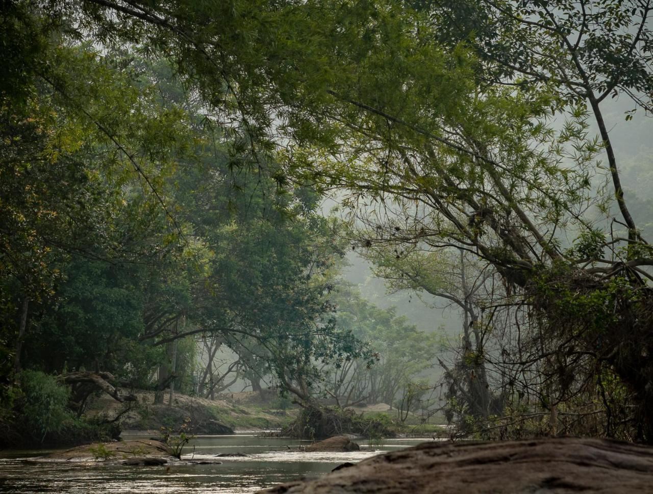 Quiet By The River- Cgh Earth Thodakayam 外观 照片