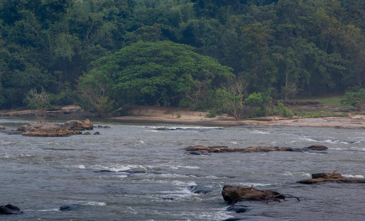 Quiet By The River- Cgh Earth Thodakayam 外观 照片